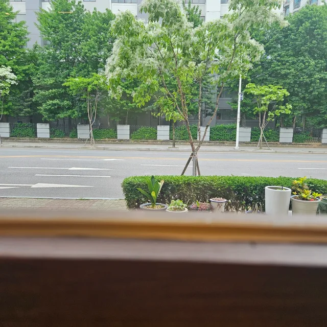 미스타칠드런