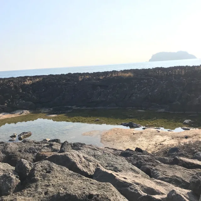 포케