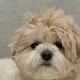 급처중