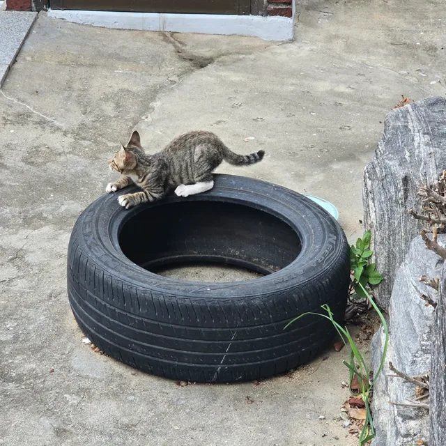 꽃향기