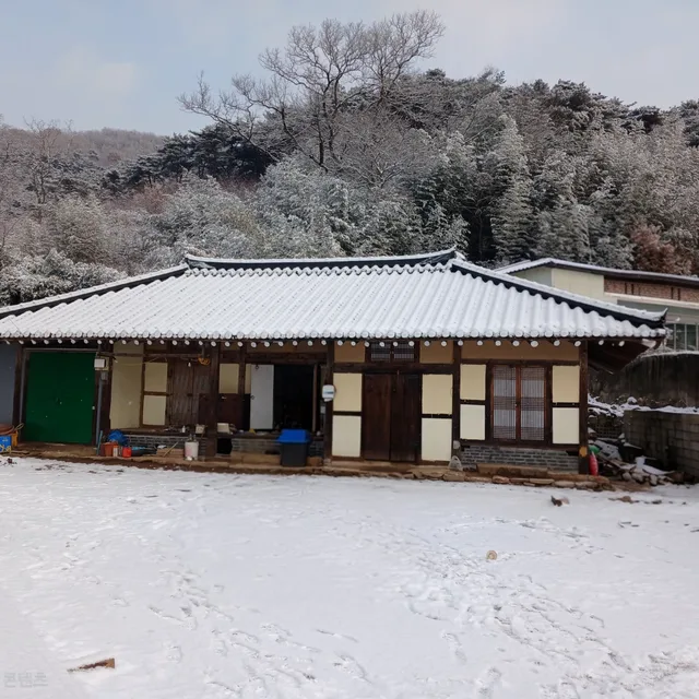 바람이분다