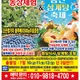 사계절여행사