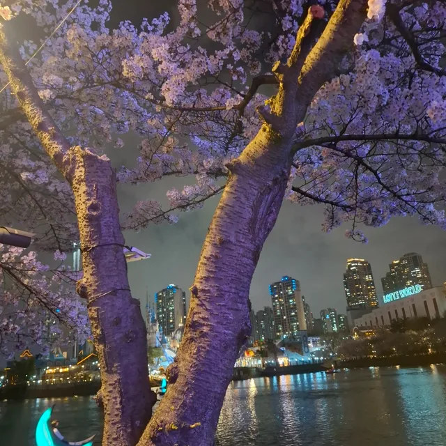 대가리꽃밭