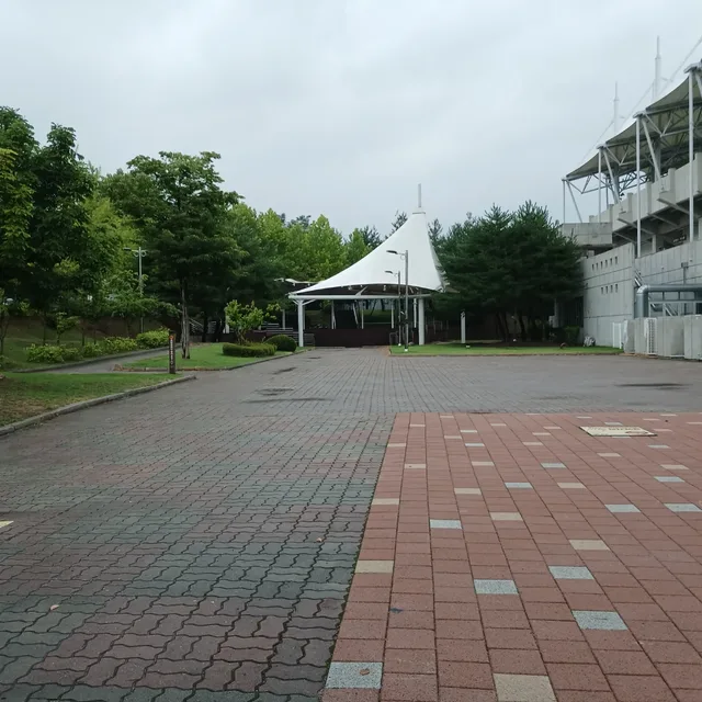 따뚜씨