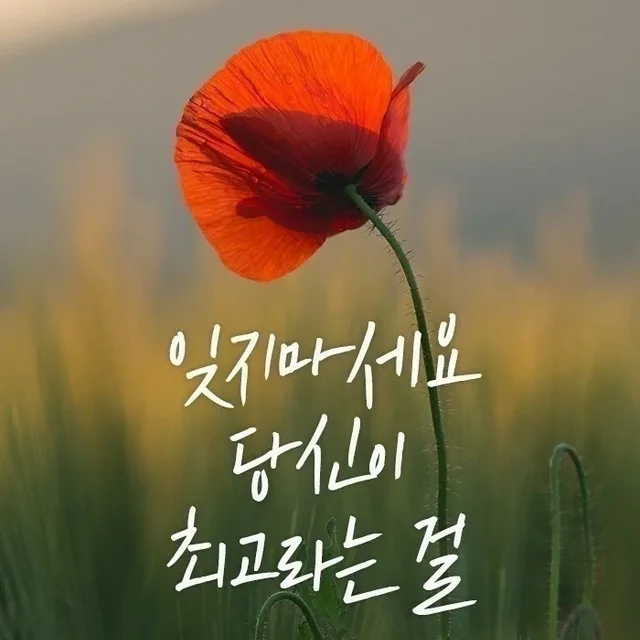 복바우