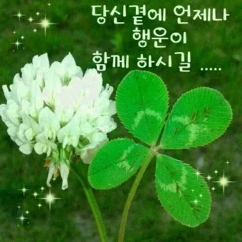 줌마렐라