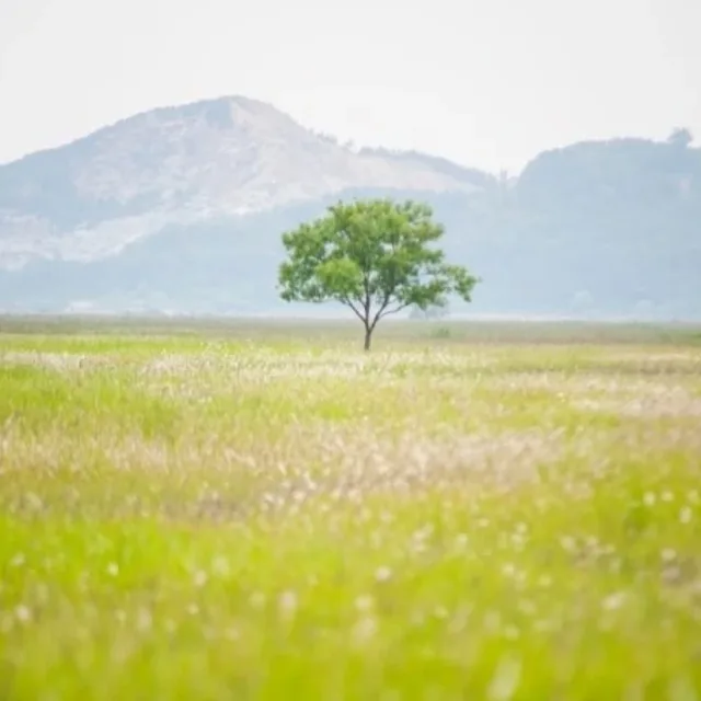 자연바람