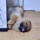 콩자반