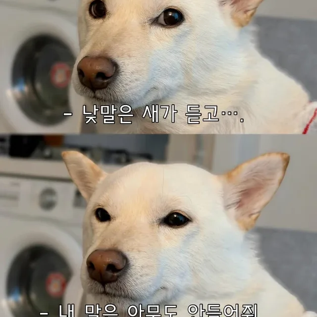 공수레공수거