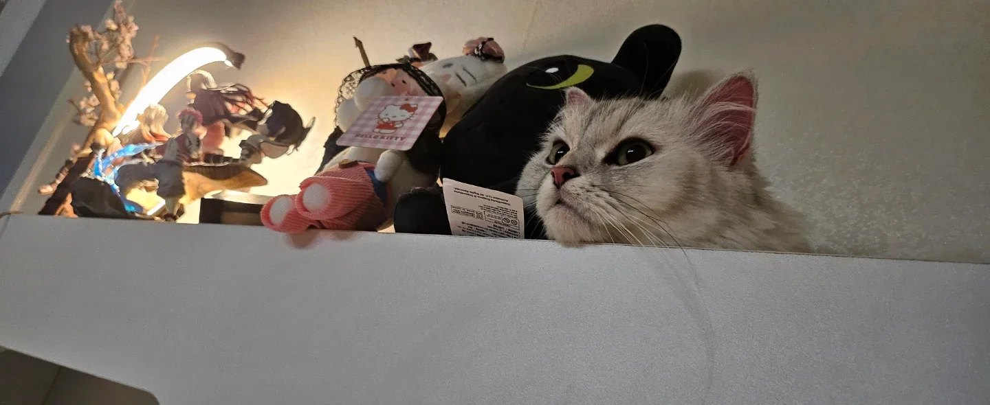 먼지아빠