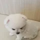 쿠쿠쿠쿠쿠쿠쿠쿠