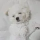 김선생