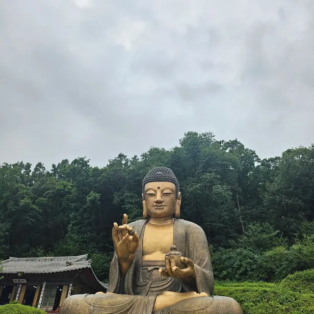 심안