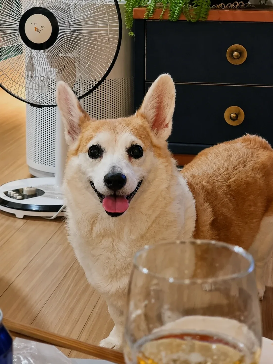 강호동