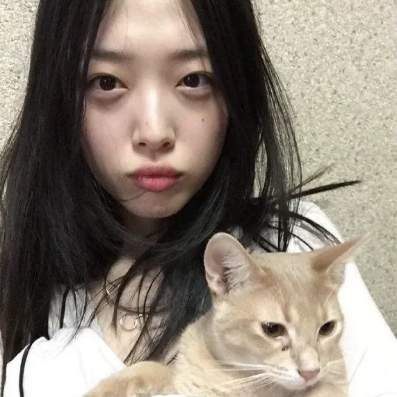 뉴뉴