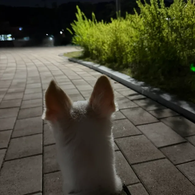 profile