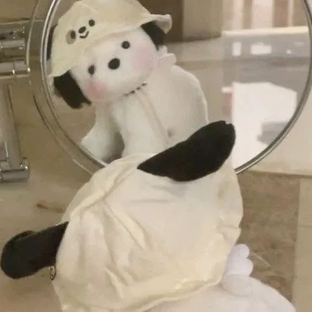 포챠