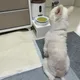 라봉이눈나
