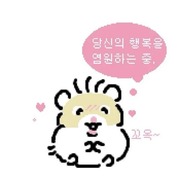 채콩