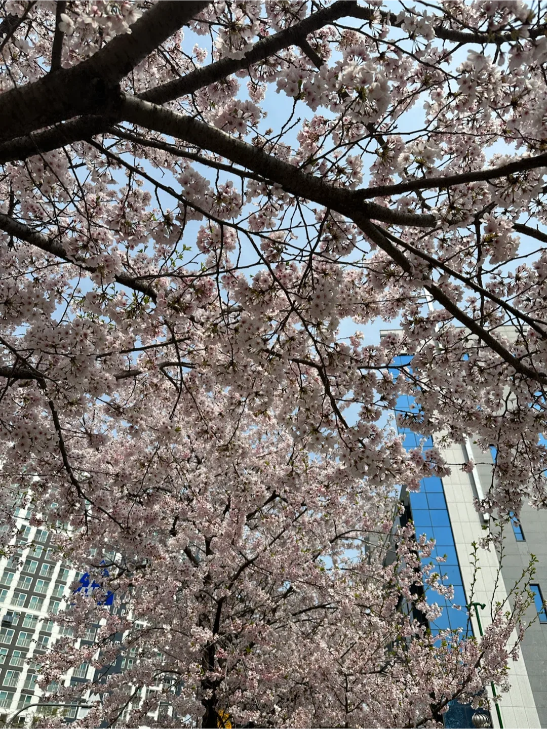27합