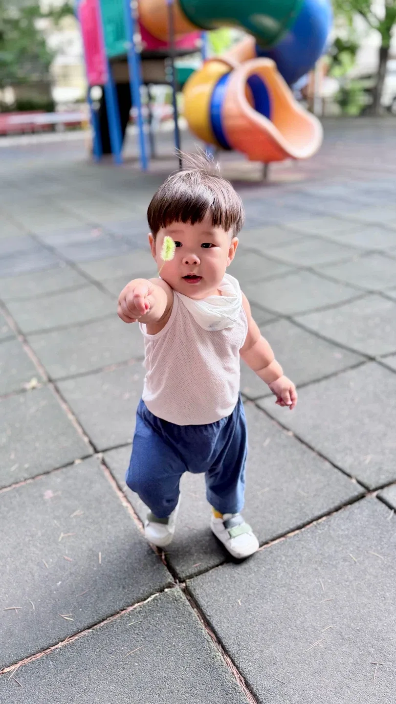 깡통찬야옹이
