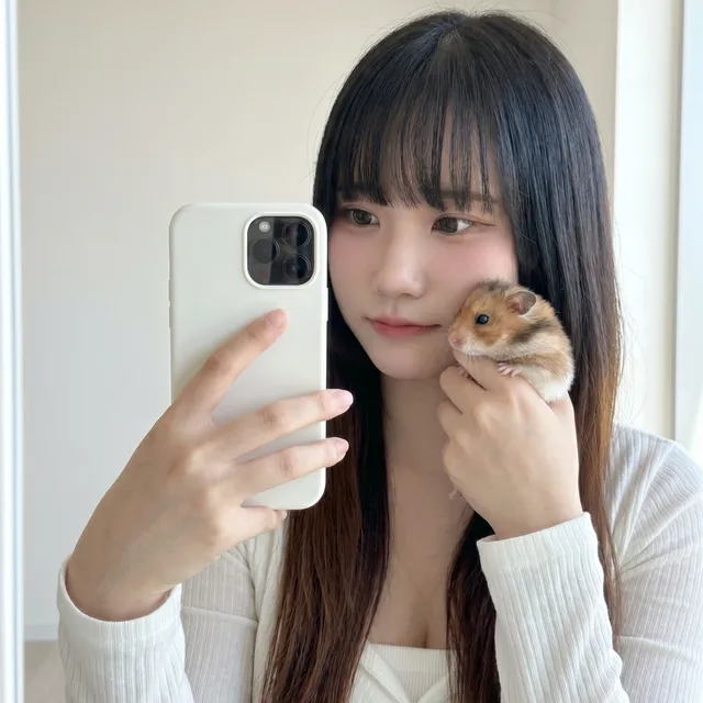 감쟈