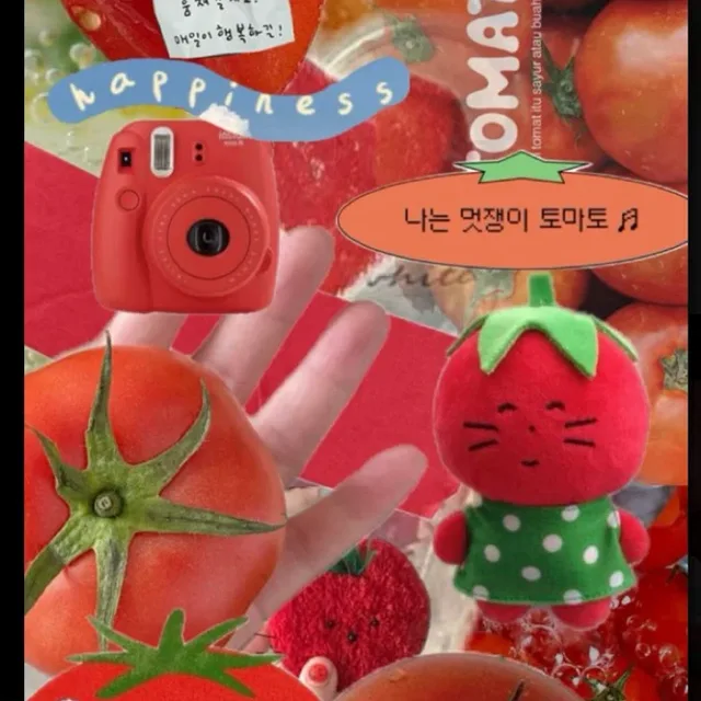 삼천동토박이