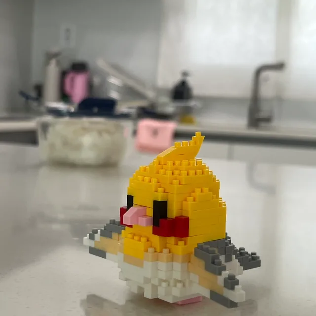 profile