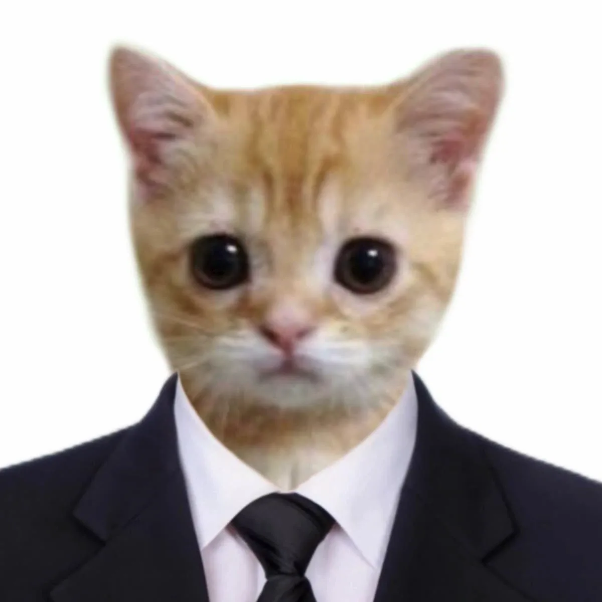 릴라