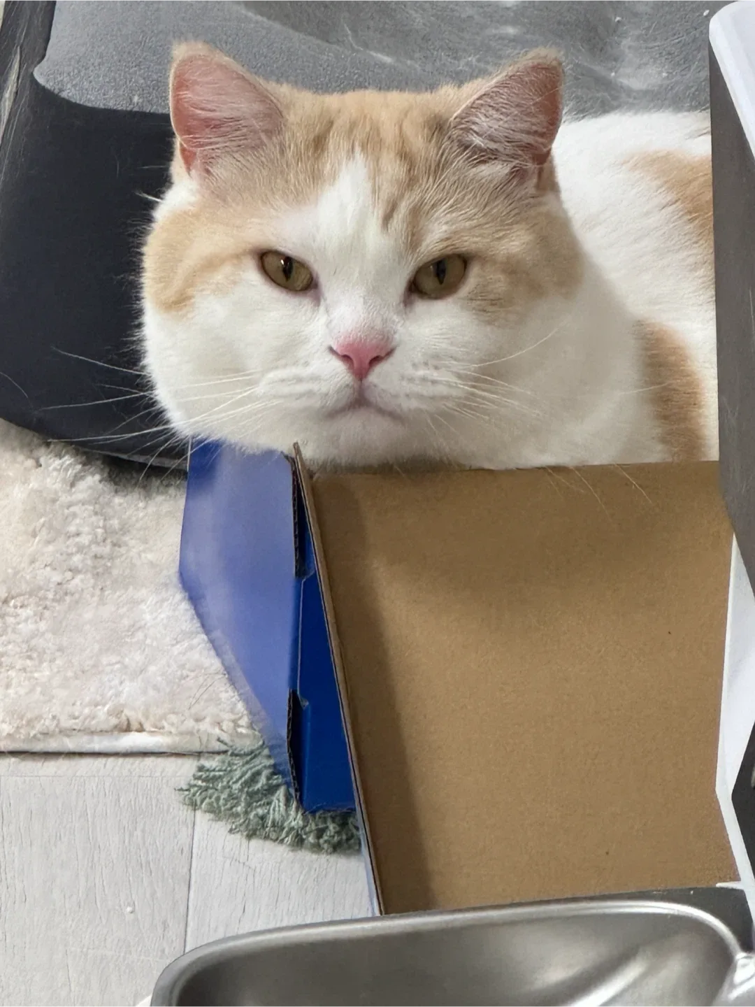 미용실집큰딸