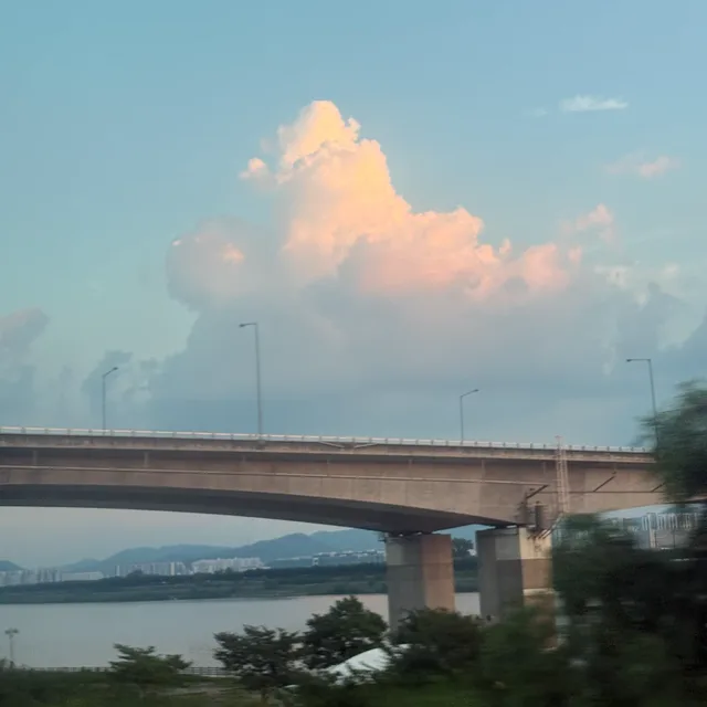무무