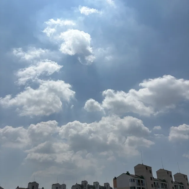 당근당