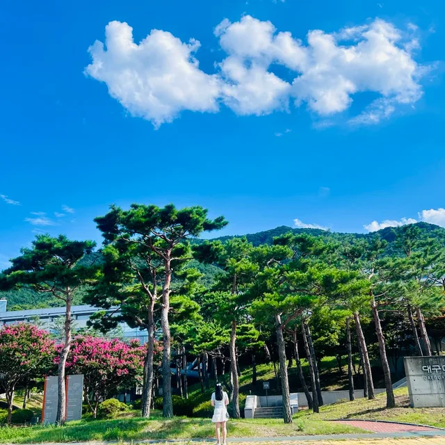 마이멜로디