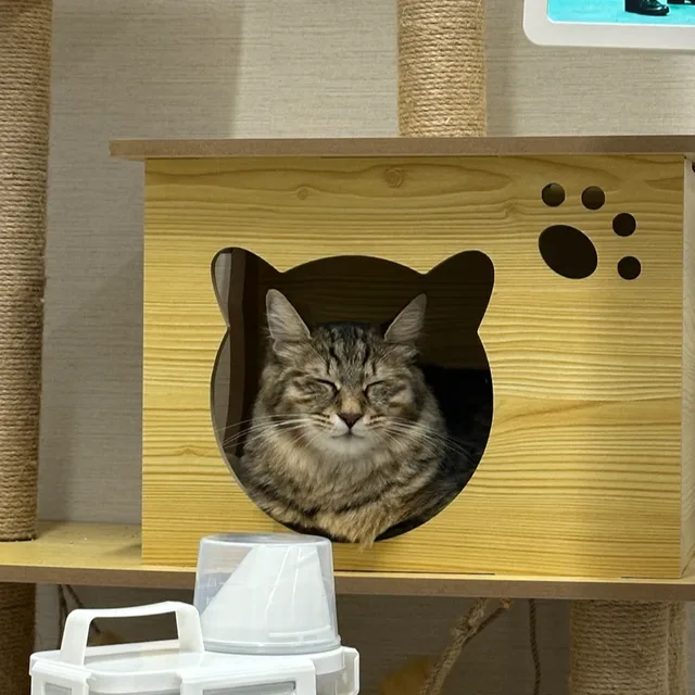 키르