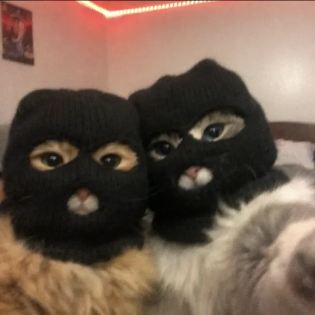 외쳐