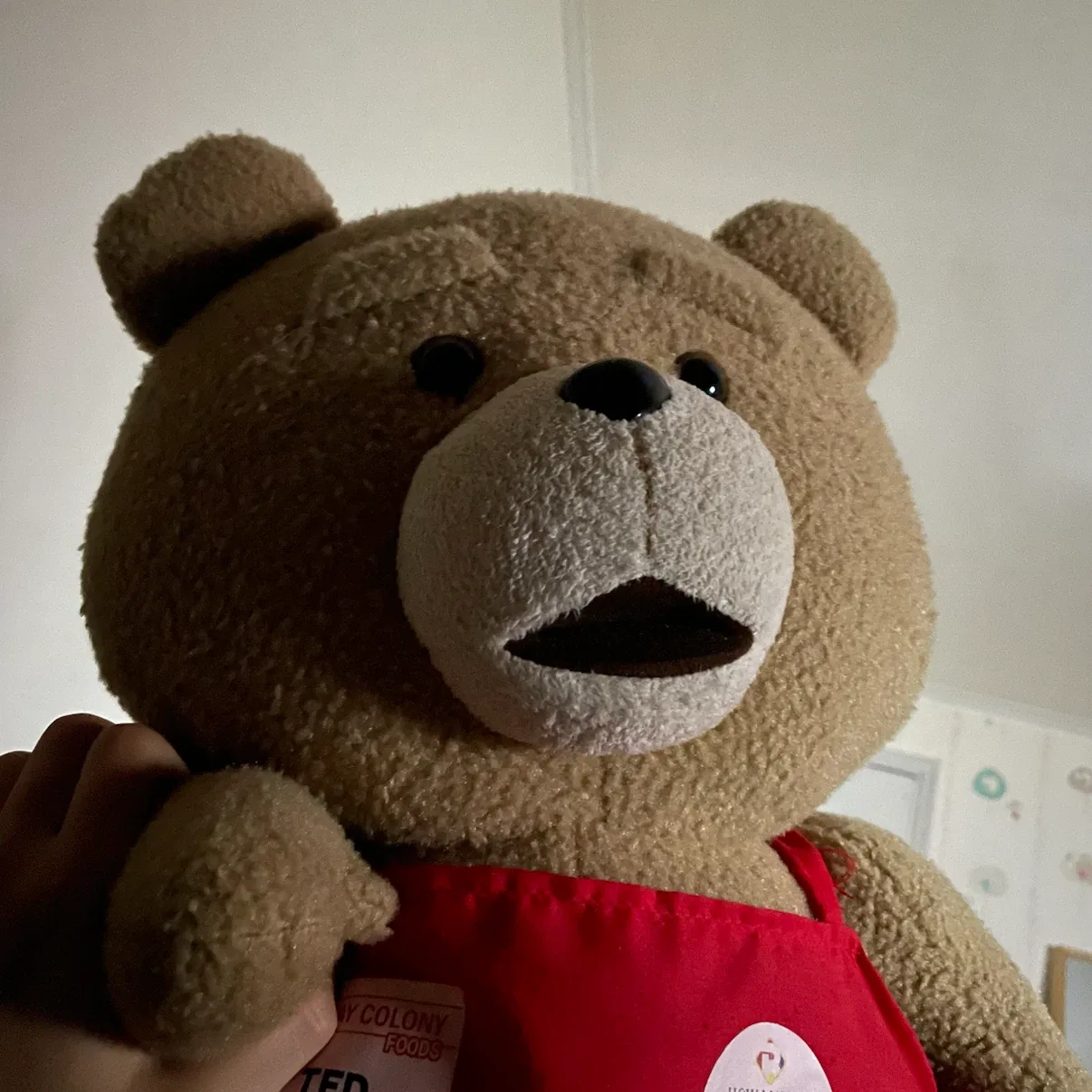 테드
