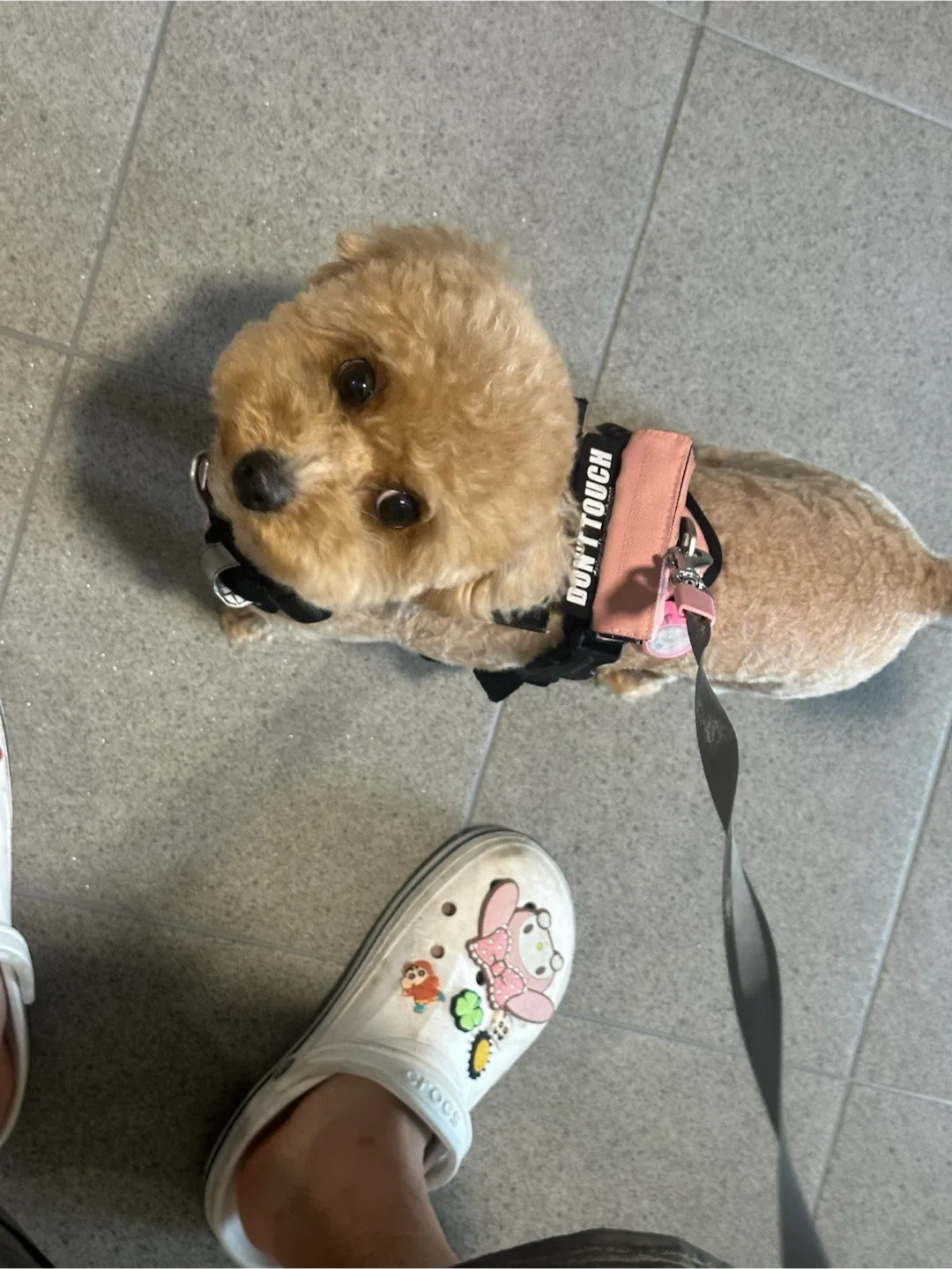 보리아빠