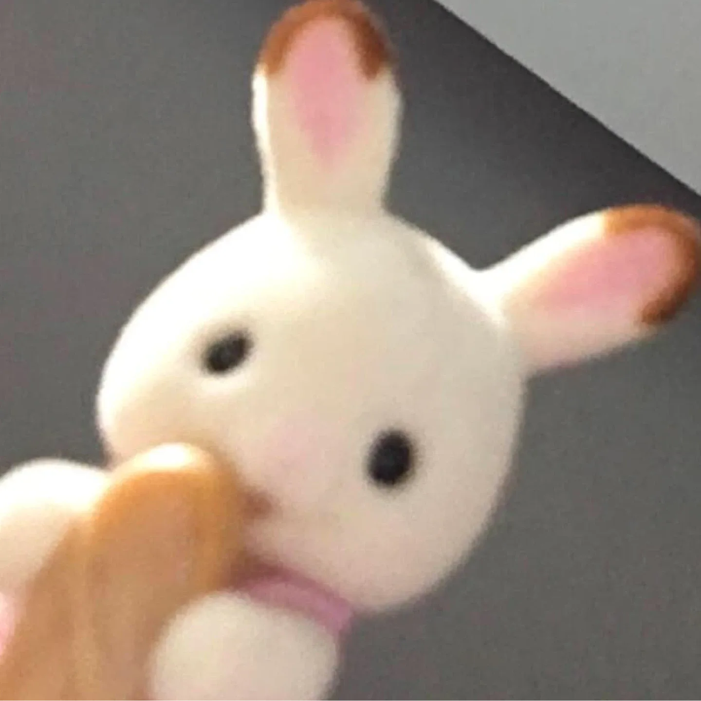 니니