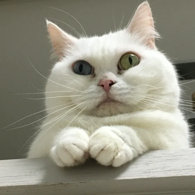 휴지