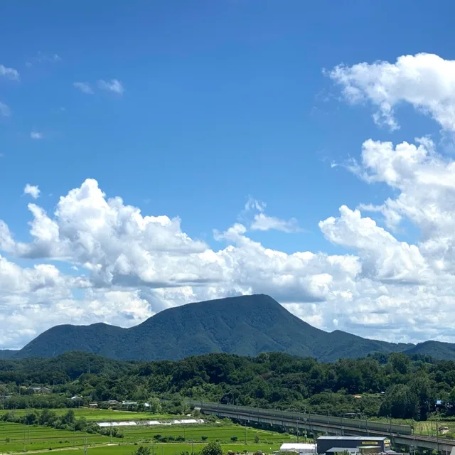 용문산매니아