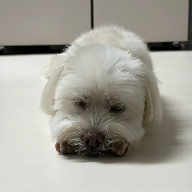 화목이눈나