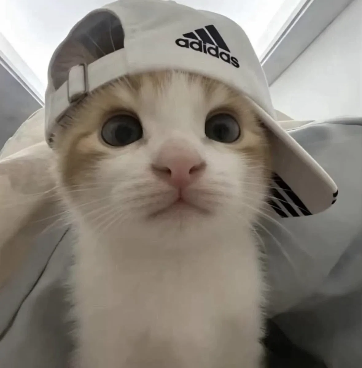 쿨거래