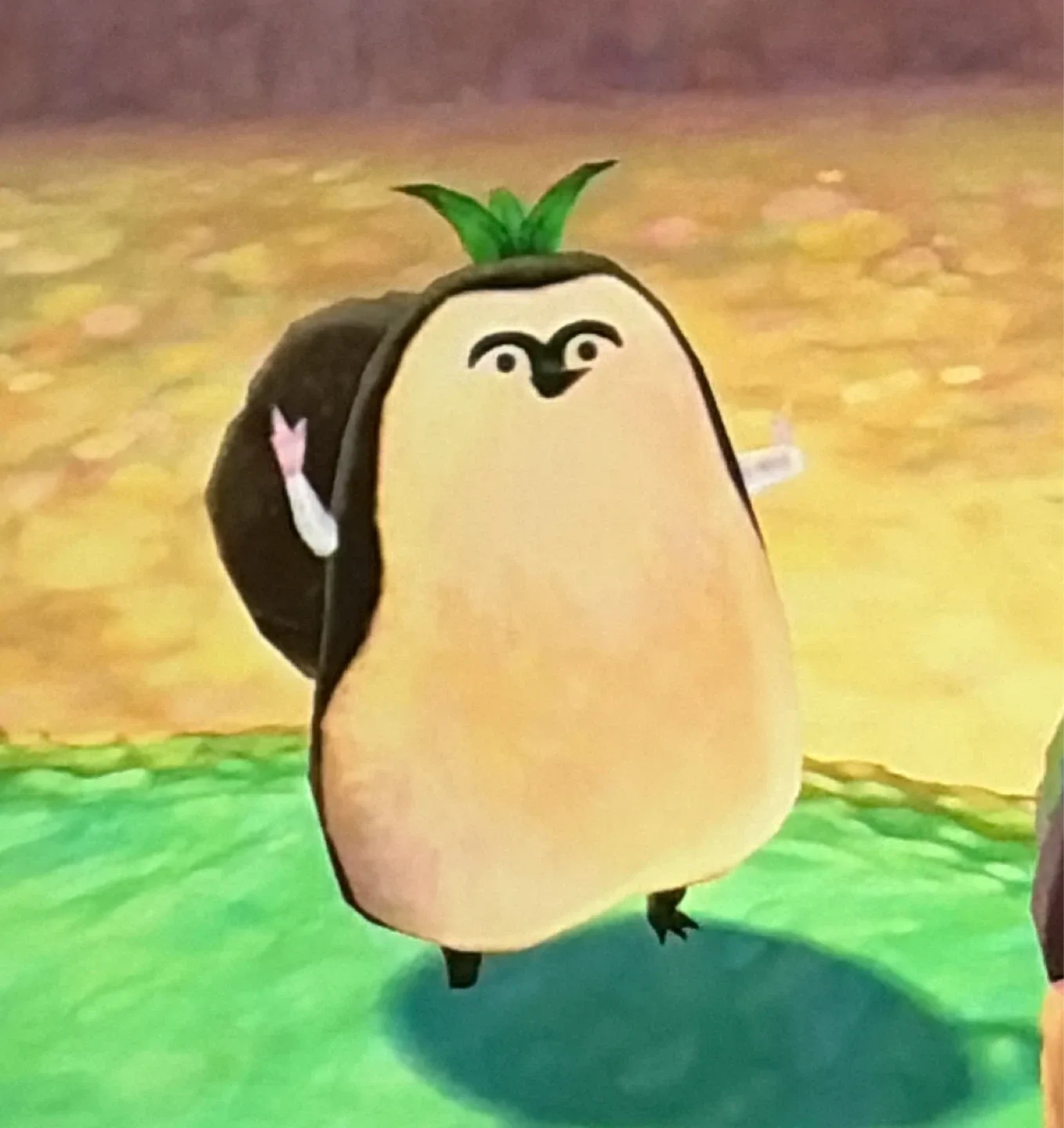 쿨거래보리콩