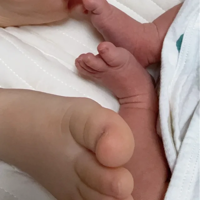 아린아준마미