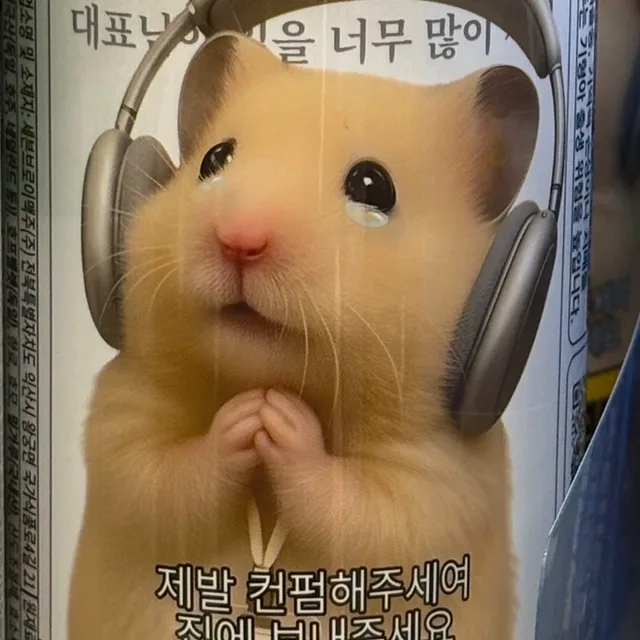 졔졔