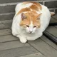 상수