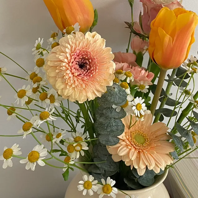 윈터코코아