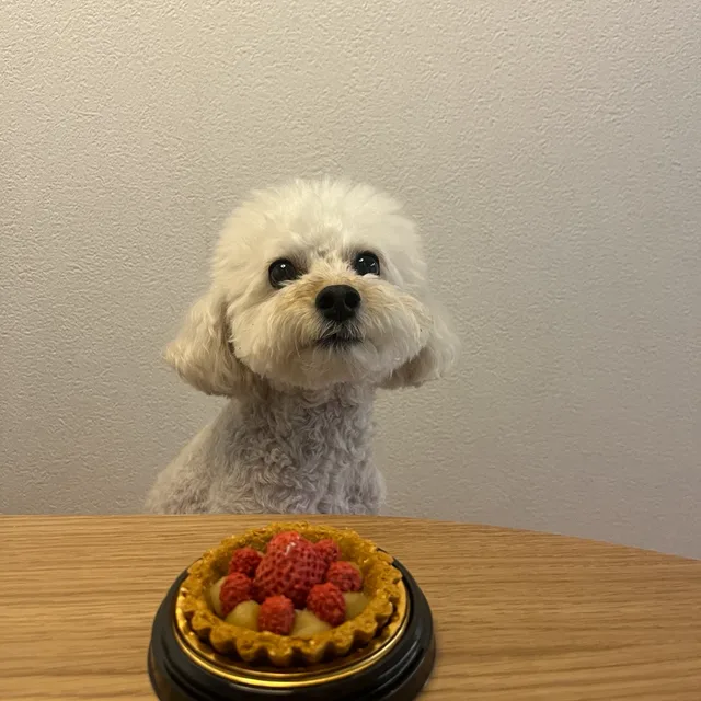 룰루이