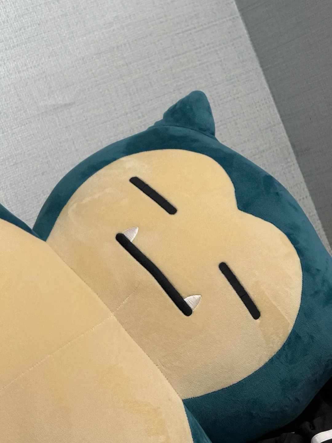 댕댕