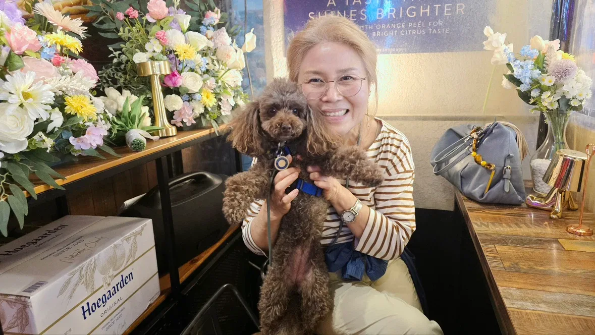 스텔라맘